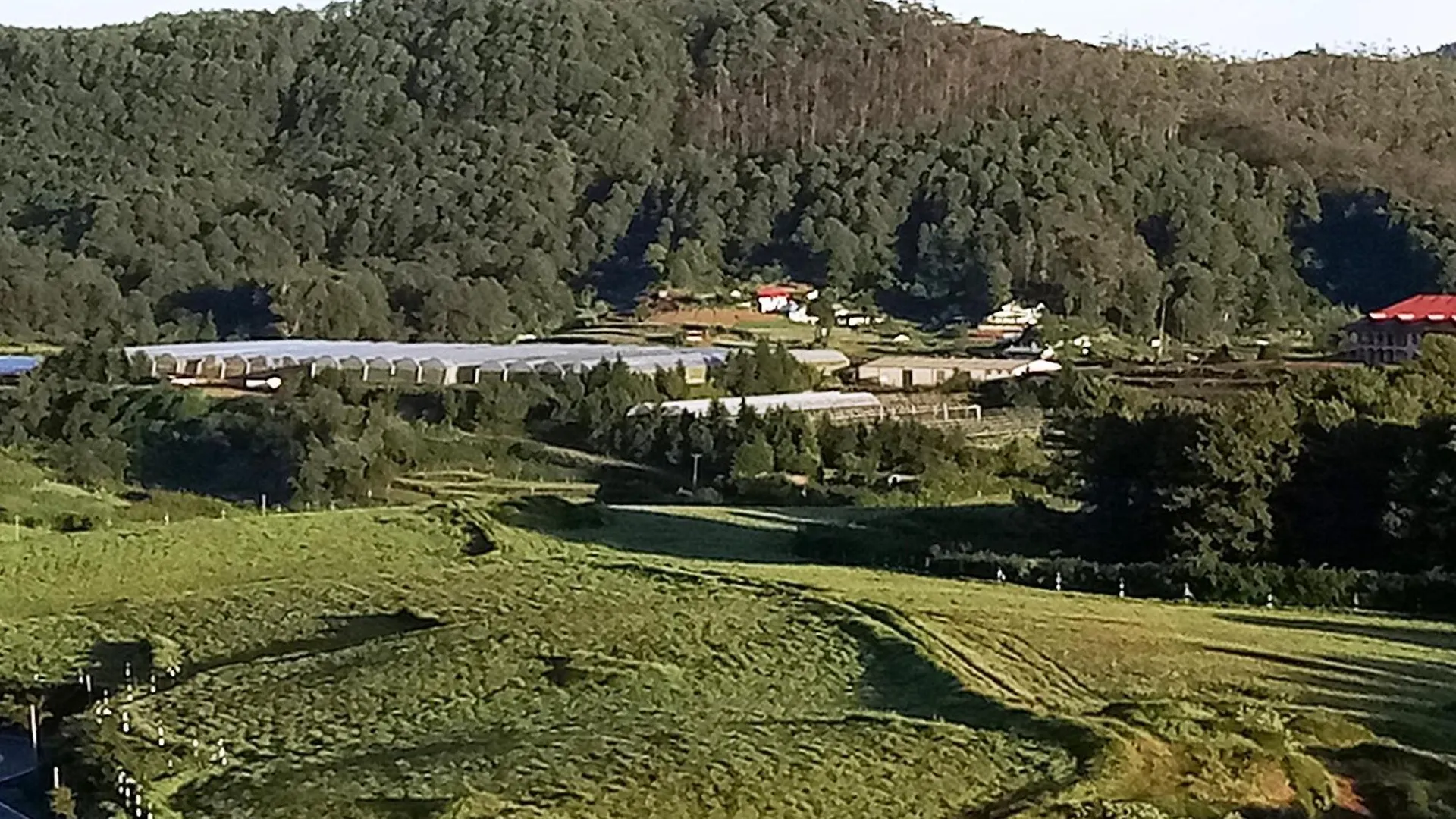Nipuni Sky Inn Nuwara Eliya Holiday home